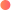 Jabaliwood